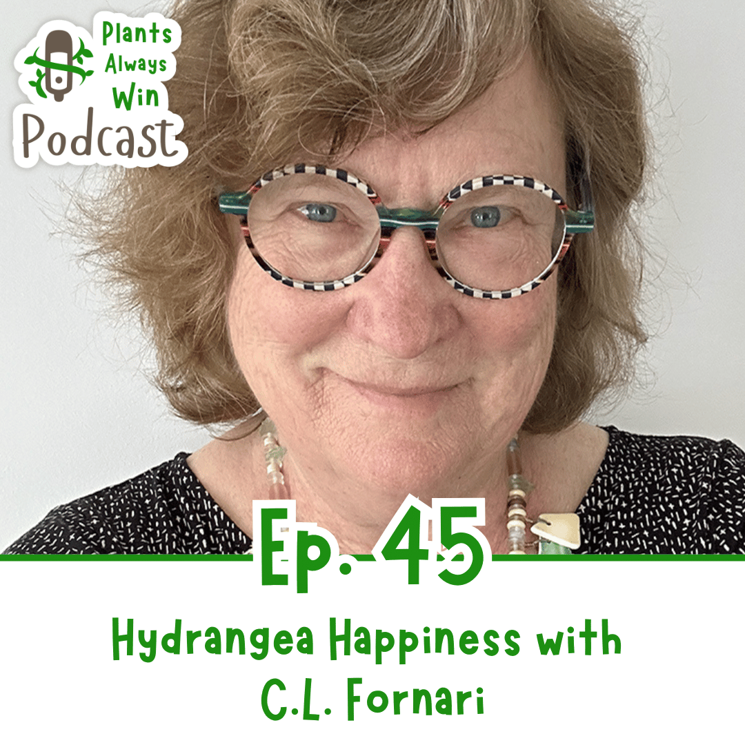 In the thumbnail image for the Plants Always Win podcast episode 45: Hydrangea Happiness with C.L. Fornari, a white woman with short blonde hair and multicolour glasses smiles knowingly at the camera.