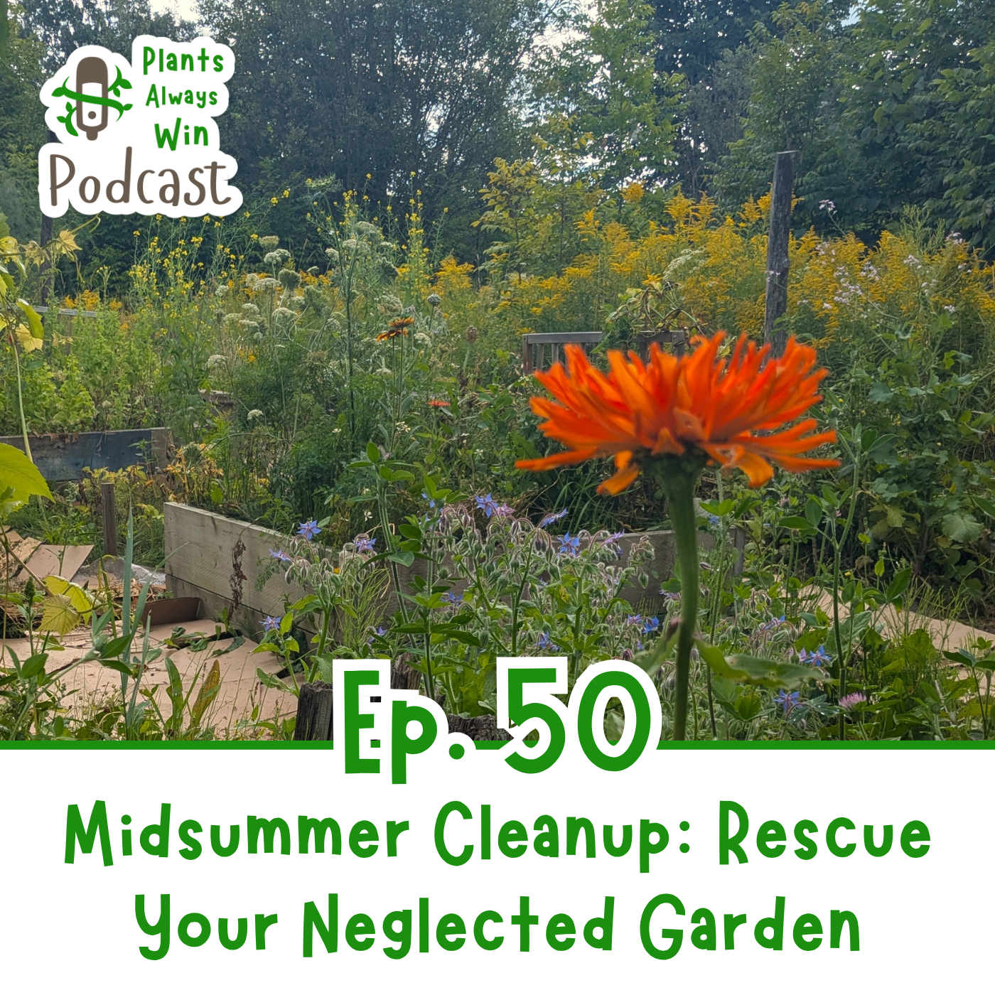 Ep. 50 Midsummer Cleanup: Rescue Your Neglected Garden