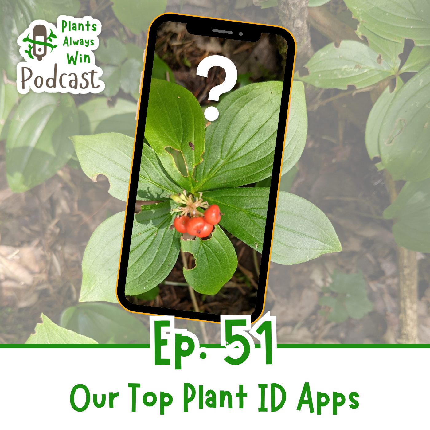 The thumbnail image for Plants Always Win podcast episode 51: Our Top Plant ID Apps shows a phone taking a photo of a forest understory plant with bright red berries.